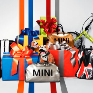 👕 Lifestyle & Accessories