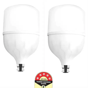 Dunagiri 25 W Basic Standard B22 LED Bulb